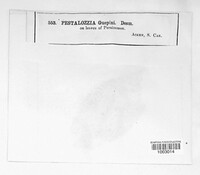 Image Associated With the Occurence